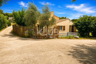 achat terrain zonza 20124