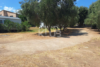 achat terrain zonza 20124