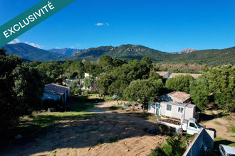 achat terrain zonza 20144