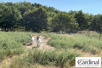 achat viager alleins 13980