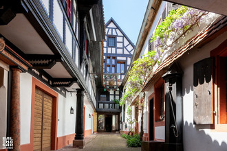 achat viager boersch 67530