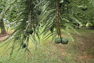 achat viager chapet 78130