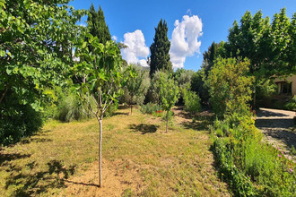 achat viager marseille-11 13011