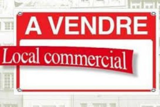 achat viager vernet-les-bains 66820