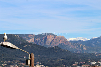  appartement ajaccio 20000