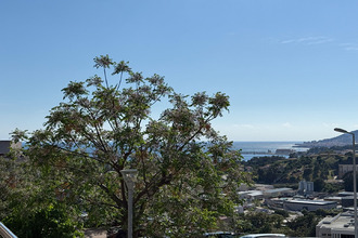  appartement ajaccio 20000