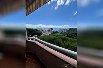  appartement ajaccio 20000