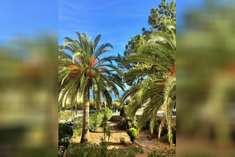  appartement ajaccio 20000