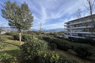  appartement ajaccio 20000