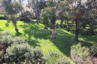  appartement ajaccio 20000