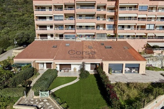  appartement ajaccio 20000