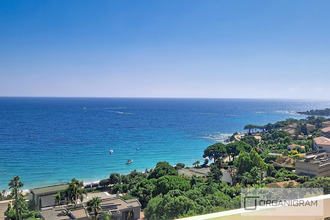  appartement ajaccio 20000