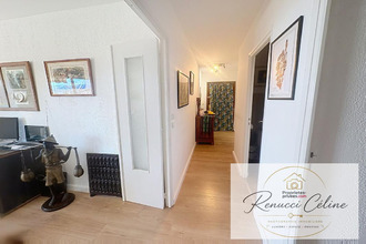 appartement ajaccio 20000