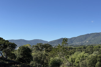  appartement ajaccio 20090