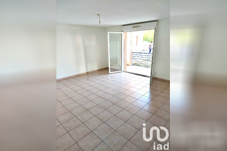  appartement albi 81000