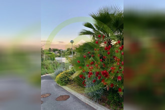  appartement antibes 06600