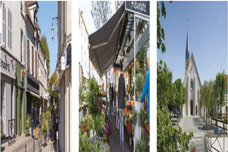  appartement antony 92160