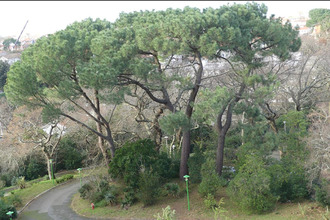  appartement arcachon 33120