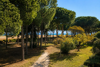  appartement argeles-sur-mer 66700