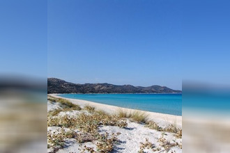  appartement bastia 20200