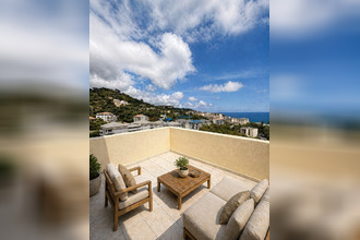  appartement bastia 20600