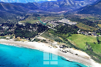  appartement belgodere 20226