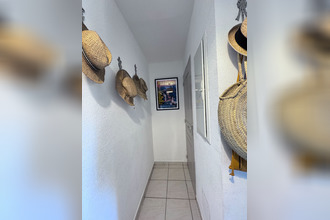  appartement belgodere 20226