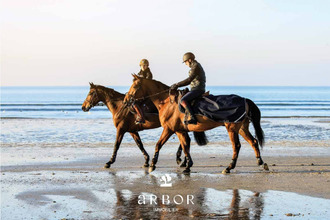  appartement benerville-sur-mer 14910