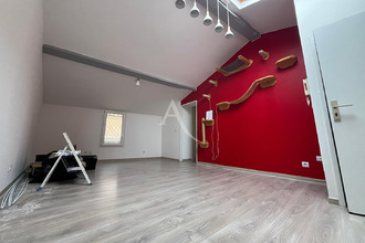  appartement bessieres 31660