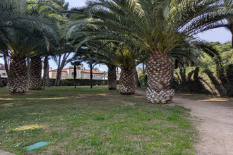  appartement cagnes-sur-mer 06800