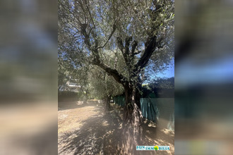 appartement cagnes-sur-mer 06800