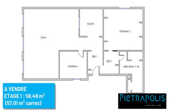  appartement caluire-et-cuire 69300