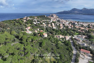  appartement calvi 20260