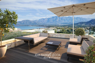  appartement calvi 20260