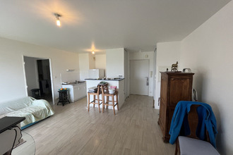  appartement camaret-sur-mer 29570