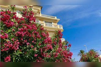  appartement cannes 06400