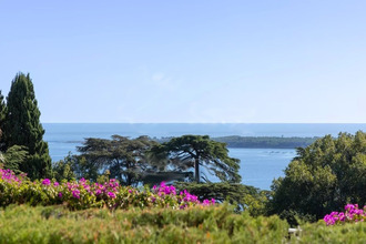  appartement cannes 06400