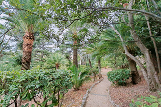  appartement cannes 06400