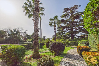  appartement cannes 06400