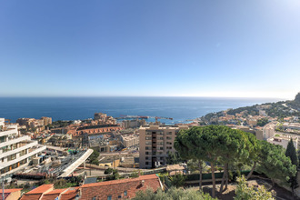  appartement cap-d-ail 06320