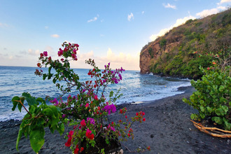  appartement case-pilote 97222