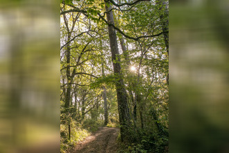  appartement castets 40260