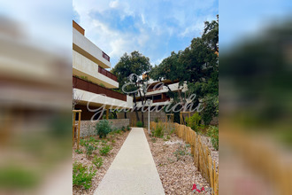  appartement castries 34160