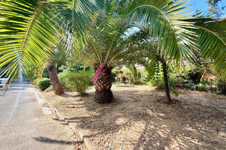  appartement cavalaire-sur-mer 83240