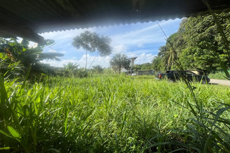  appartement cayenne 97300