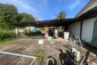  appartement cayenne 97300