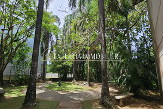  appartement cayenne 97300