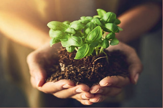  appartement clermt-ferrand 63100