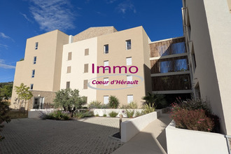  appartement clermt-l-herault 34800