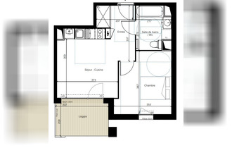  appartement colomiers 31770